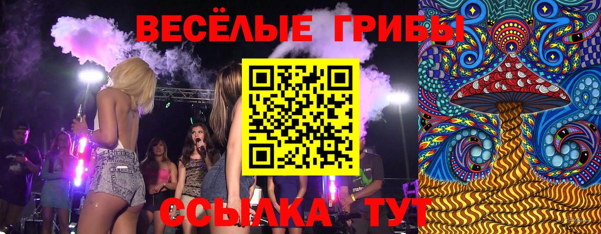 Псилоцибиновые грибы Cubensis  Вход с VPN  как найти   Елабуга 